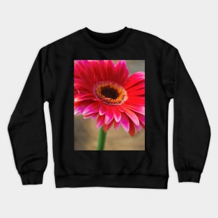 Pink Bloom Crewneck Sweatshirt